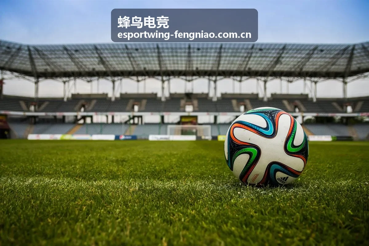 蜂鸟电竞地图资源控制复盘